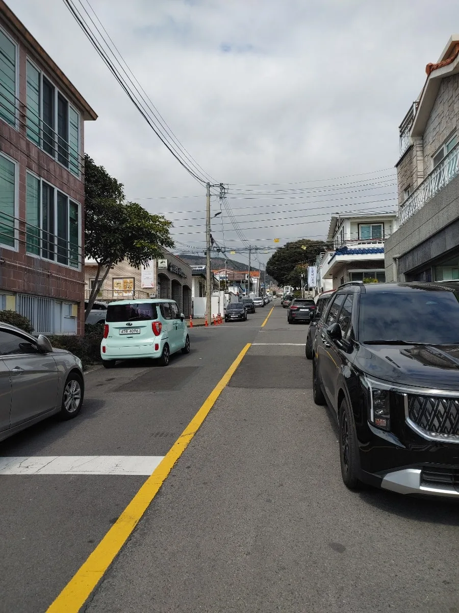 제주 고근산 등반 2026: 완벽한 날씨 속 정상 도전 후기 2
