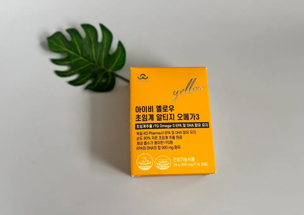 눈 건강 관리 2026: 노안 증상 완화와 기억력 개선을 위한 오메가3 선택법 3