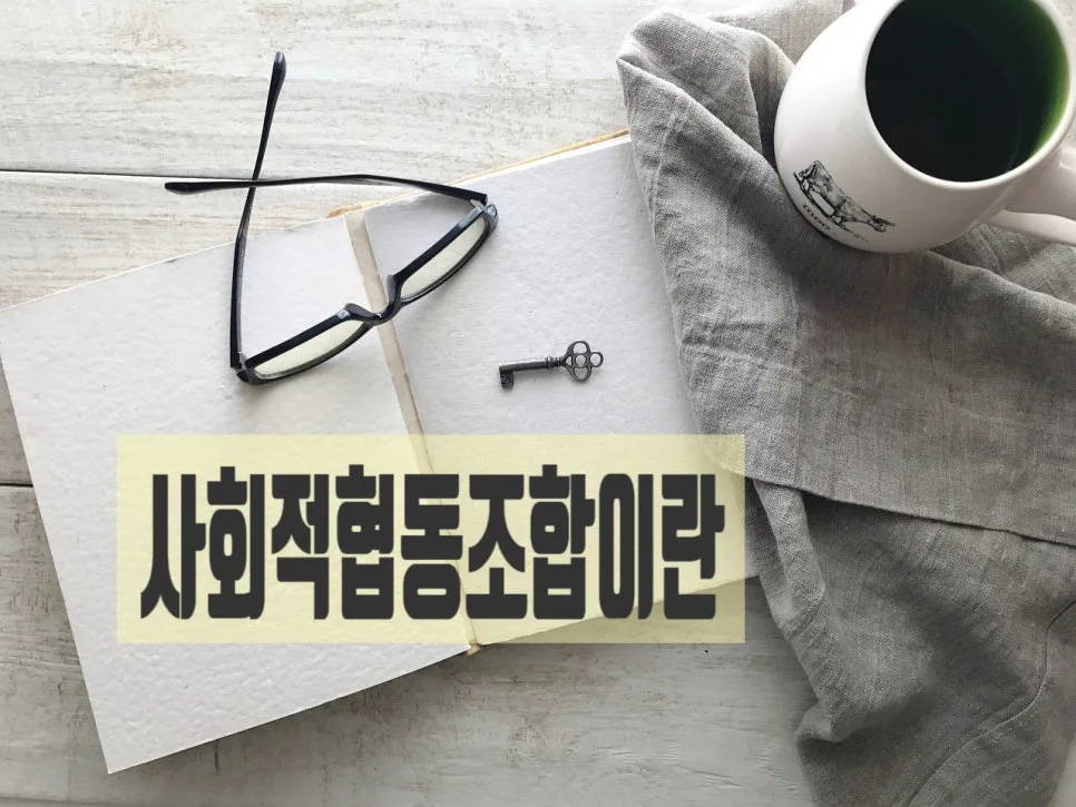 사회적협동조합 설립 절차 및 사업계획서 작성 가이드 2026 2