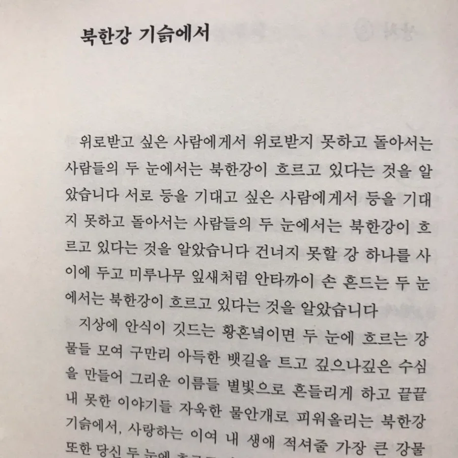 고정희 시 '북한강 기슭에서' 2026년 심층 분석: 위로와 그리움의 의미 3