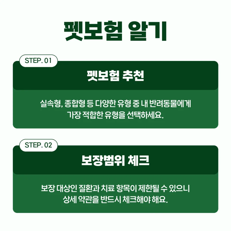 2026년 펫보험 추천: 우리 아이 맞춤 보장 찾는 법 3