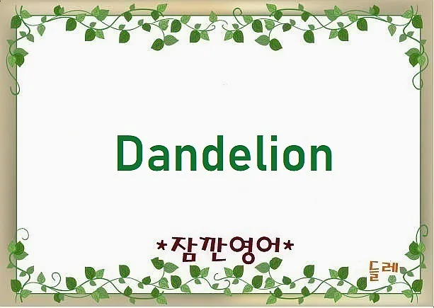 민들레 Dandelion 어원과 유래 2026년 총정리 — 어학·외국어 — min32066
