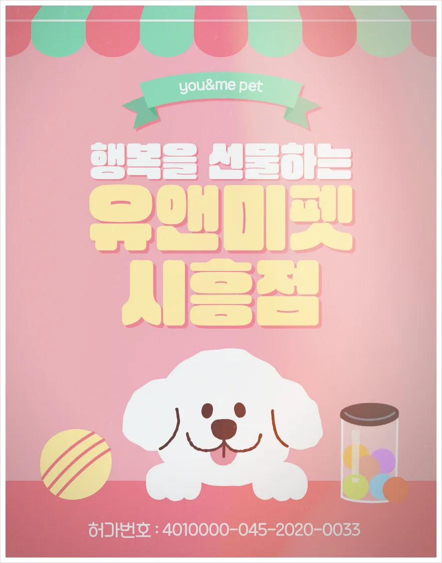 2026년 여주 푸들 분양, 유앤미펫 선택 이유와 솔직 후기