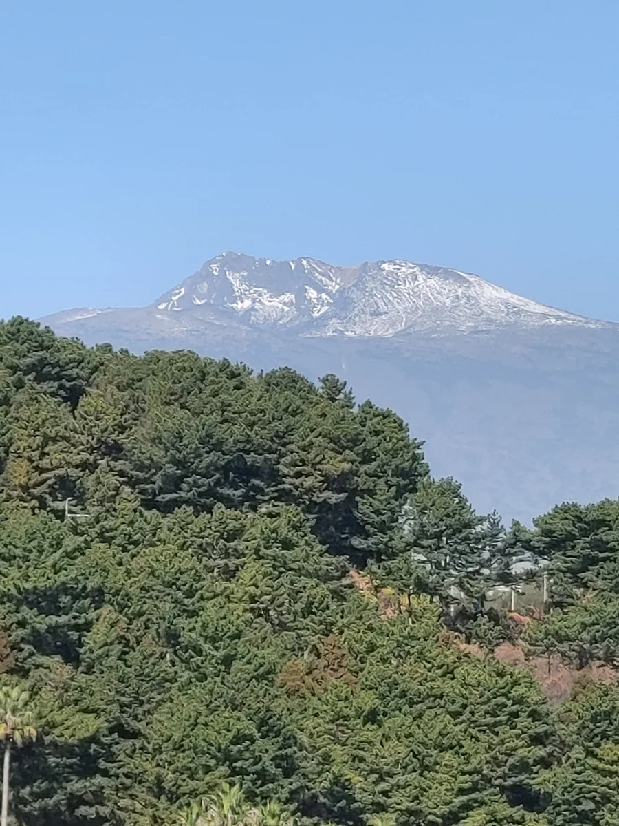 서귀포 새섬공원 2026: 새연교 야경과 겨울 풍경 완벽 가이드 — 한국여행 — ojk84