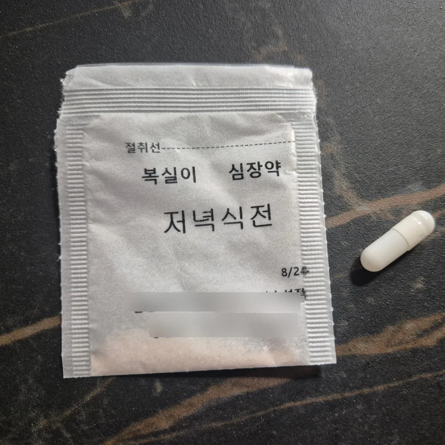 강아지 고양이 가루약 캡슐링, 2026년 셀프 노하우 총정리