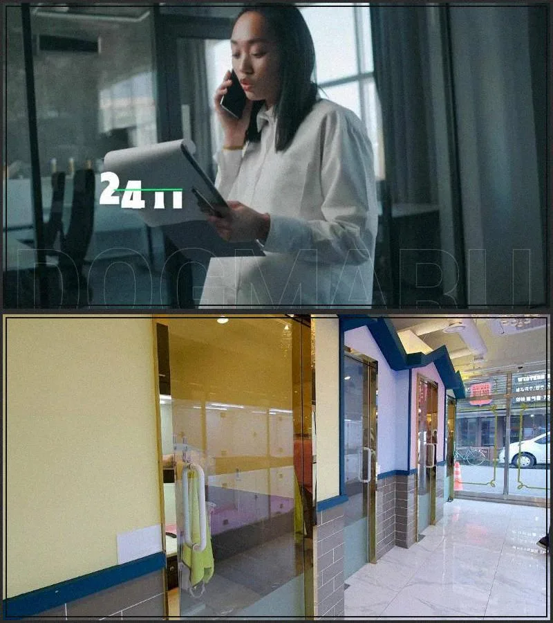 서울 강아지 분양 2026: 건강한 반려견 찾는 5가지 핵심 기준 2