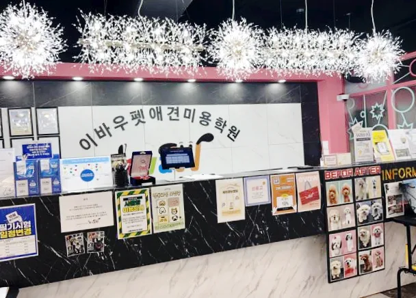 부산 애견미용학원 선택 가이드 2026: 디자이너에서 수의테크니션 도전 후기 2