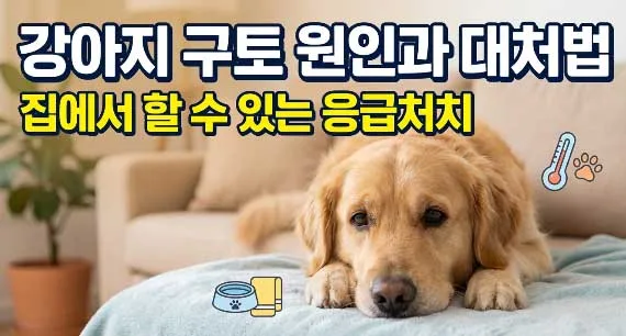 강아지 구토 원인 2026: 집에서 대처 가능한 5가지 방법