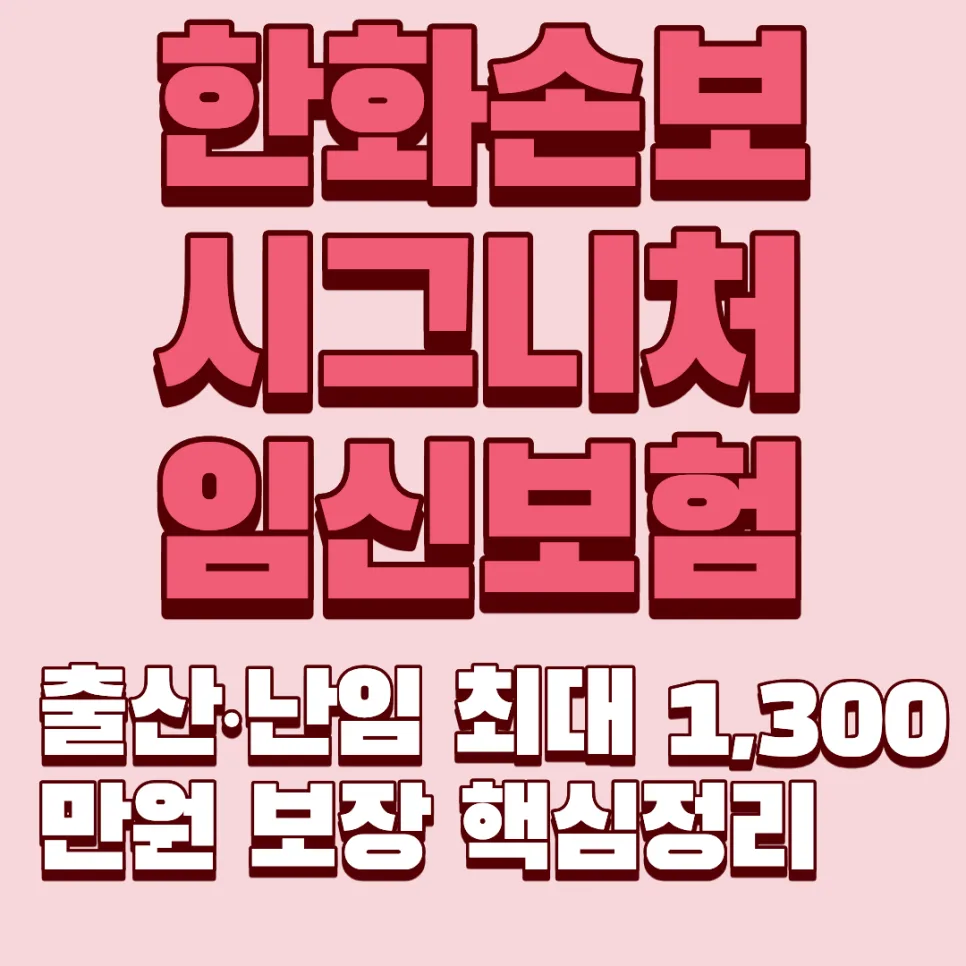 임신보험 2026년 필수 체크리스트: 출산·난임 보장 최대 1,300만원