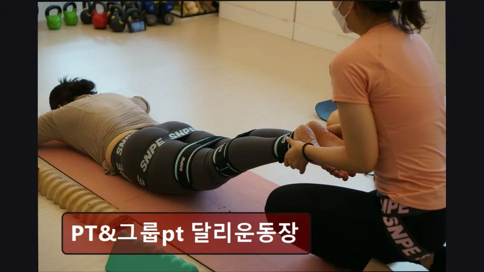 홍대 PT 2026년 최신 정보: 달리운동장 상담 및 맞춤 운동 후기 3
