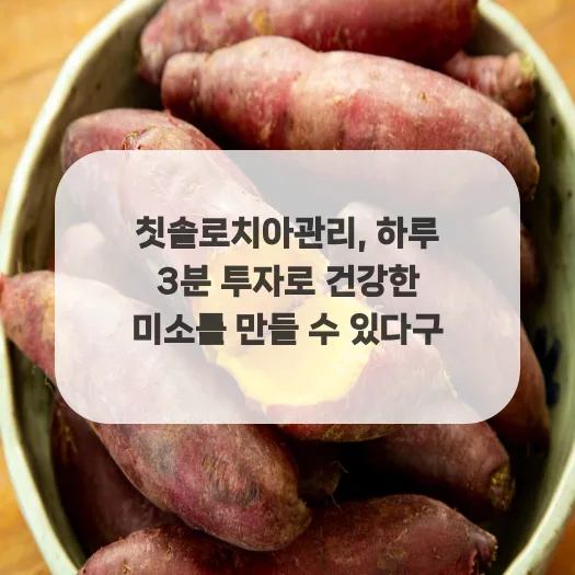 2026년 칫솔 관리법: 하루 3분 투자로 치아 건강 지키는 비결 — 건강·의학 — gustnwh88