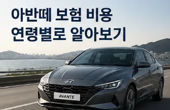 아반떼 자동차 보험료, 연령별 비교 및 절약 꿀팁 2026