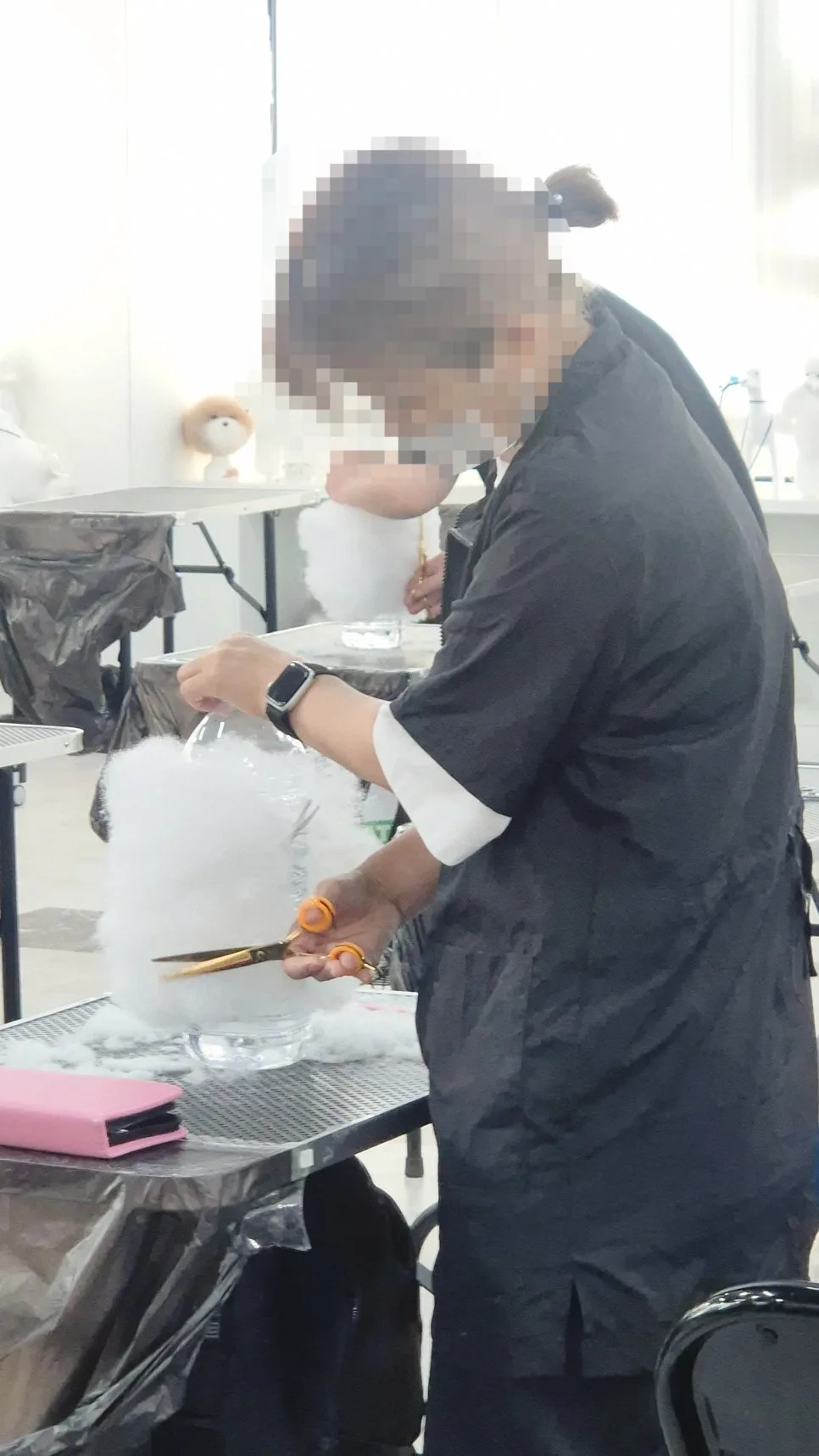 일산 애견미용학원 2026: 실견 실습으로 배우는 실무 기술 총정리 2