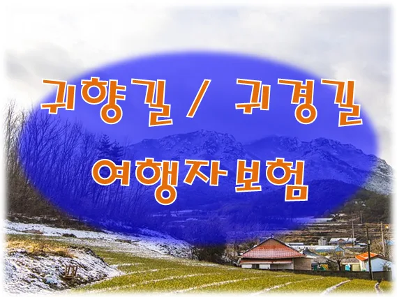 설 연휴 안전 귀성길 위한 여행자보험 2026년 가입 완벽 가이드