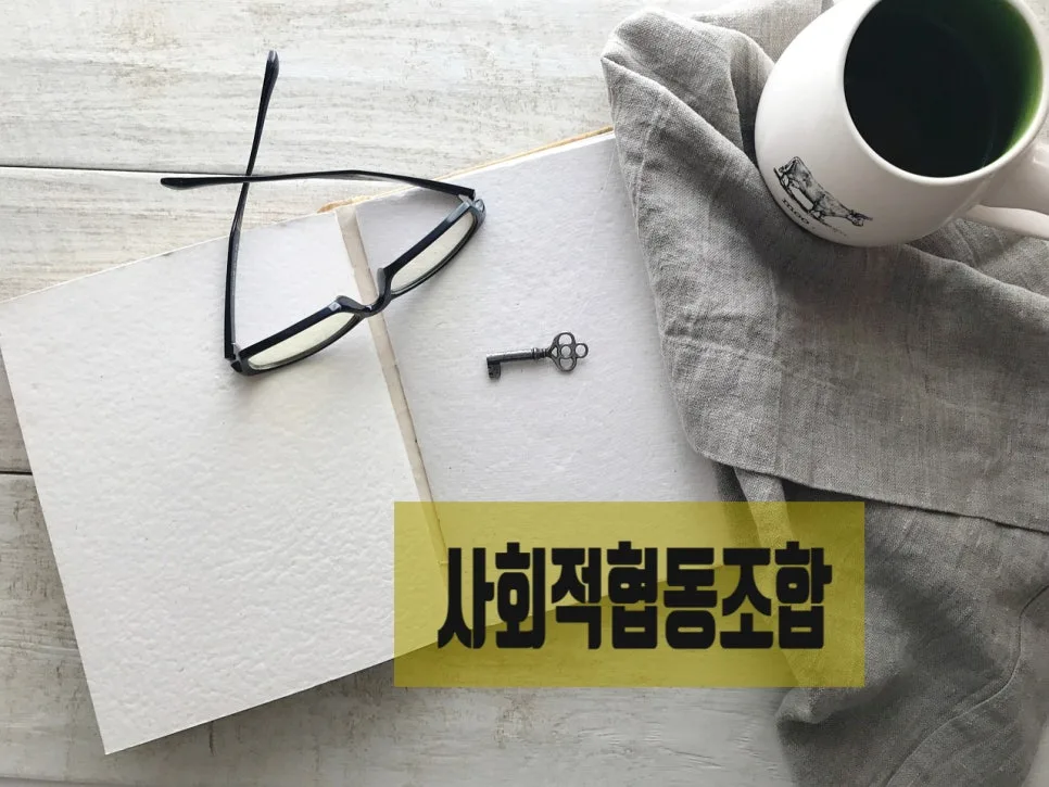 사회적협동조합 설립 인가 신청 완벽 가이드 2026 2