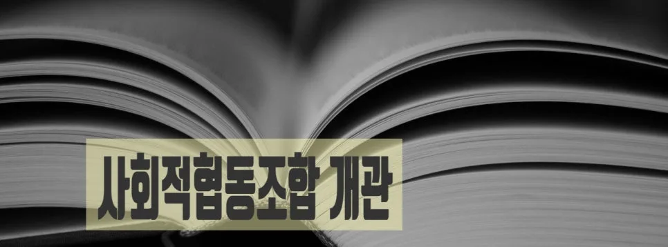 2026년 사회적협동조합 설립 절차: 인가 조건부터 등기까지 총정리 2