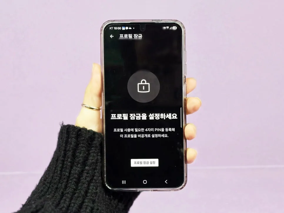넷플릭스 프로필 잠금 설정 및 해제 방법 2026년 완벽 정리 — IT·테크 — leemonpai