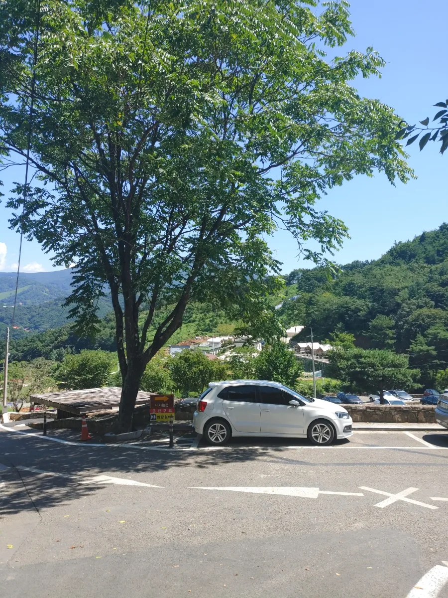 산청 수선사 연꽃 명소 2026: 여름 연꽃과 고즈넉한 사찰 풍경 3