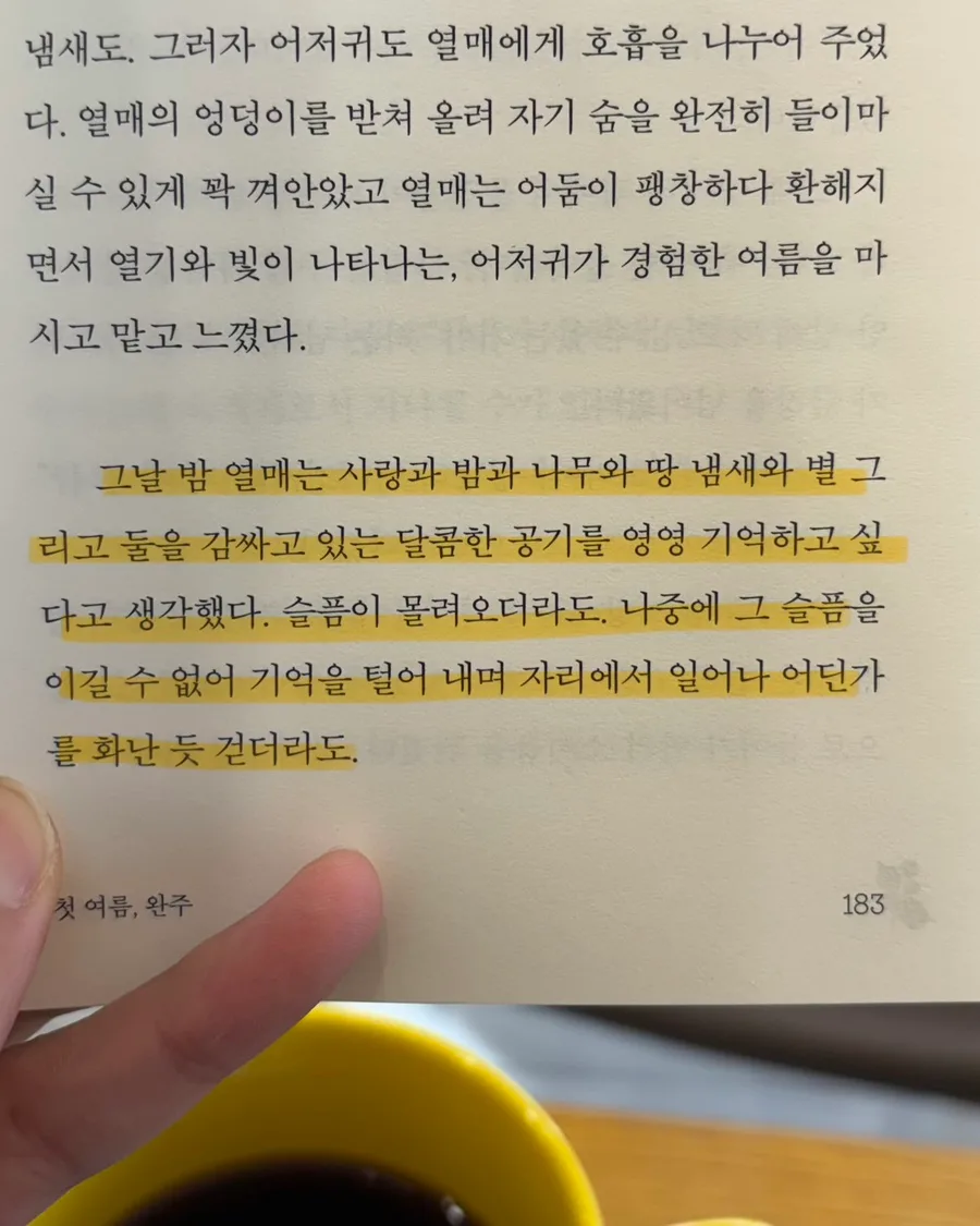 김금희 작가 <첫 여름, 완주> 줄거리와 핵심 메시지 2026 3