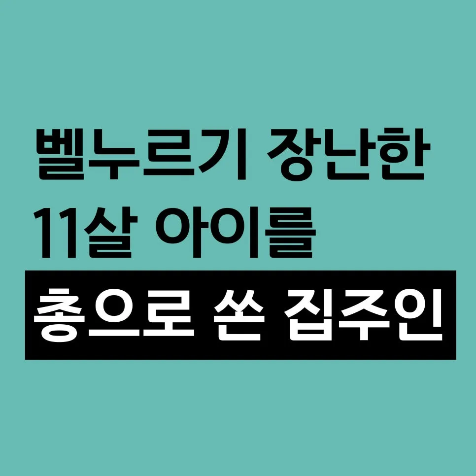 미국 벨누르기 장난 사망 사건 2026: 11세 소년 총격 사건 총정리 — 사회·시사 — brooklyn_9