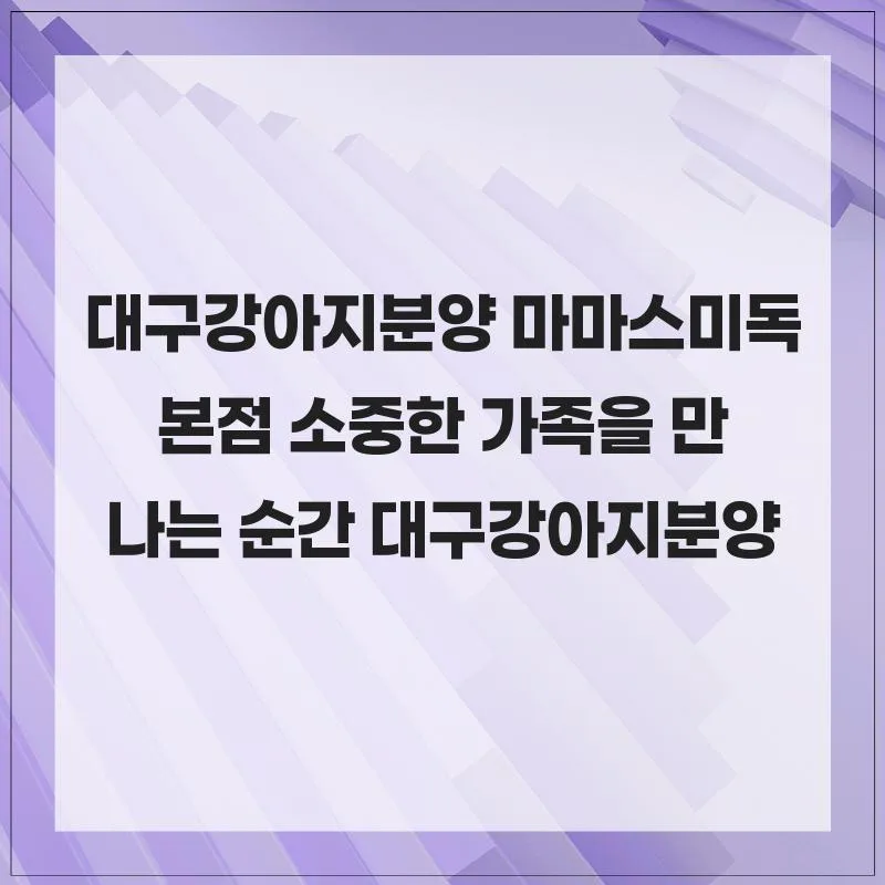 대구 강아지 분양 2026: 마마스미독에서 건강한 반려견 찾는 법 3