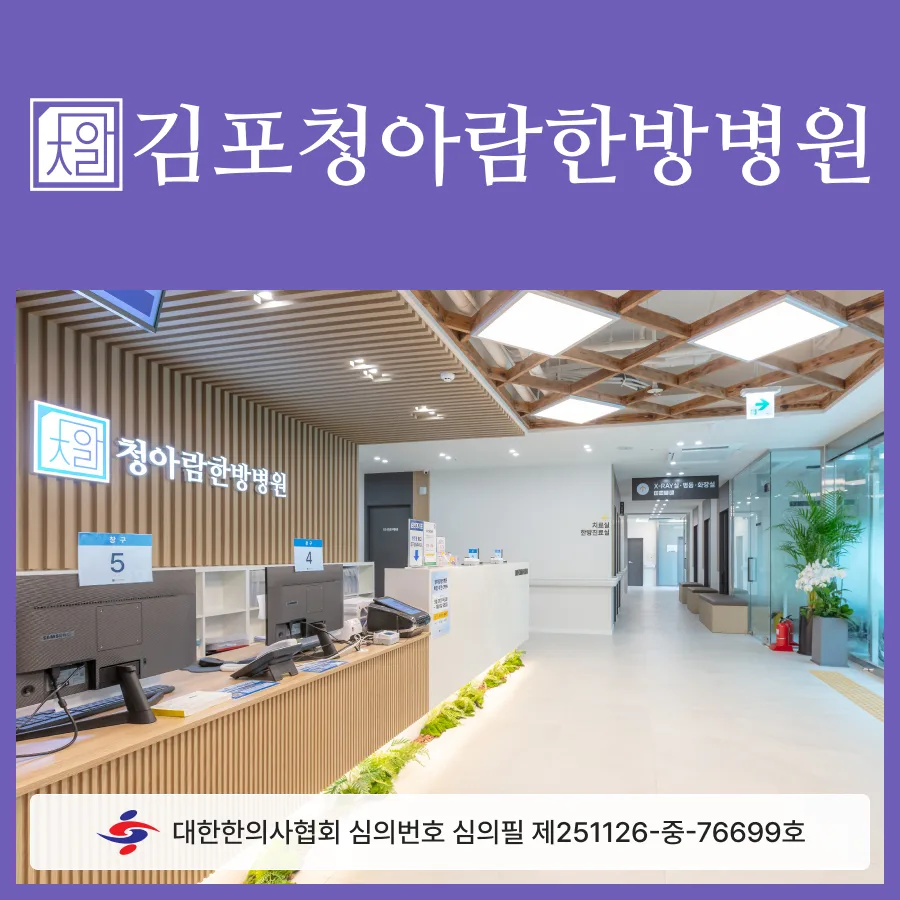 김포 한방 다이어트 2026: 체지방 감소 효과와 지속 가능한 관리법 3