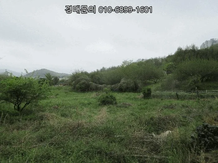 여수 율촌면 농지 경매, 2026년 5월 4일 최저가 70% 도전! 2