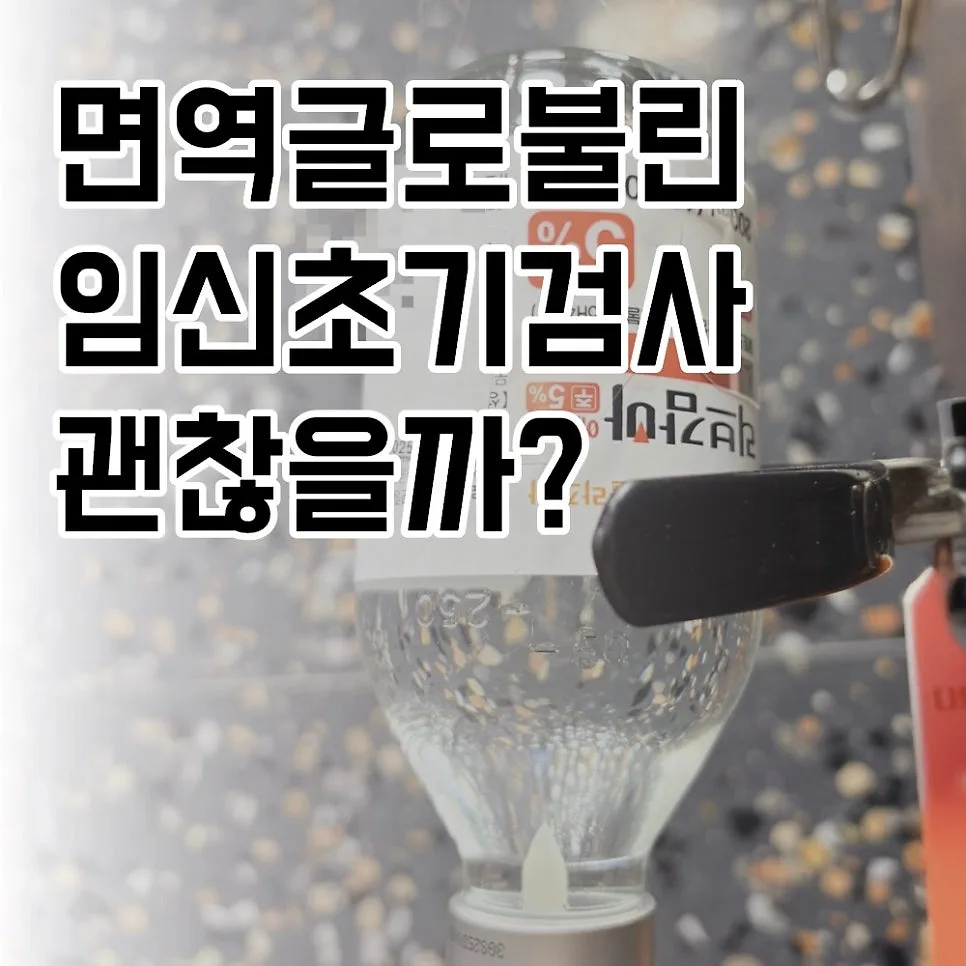 임신 5주차 보건소 모성검사: RH음성, 요당, 백혈구 결과 분석 2026 — 건강·의학 — 1991kate 1