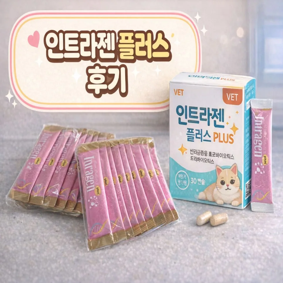 고양이 변비 탈출? 인트라젠 유산균 급여 후기 (2026년) — 반려동물 — hanaypoj7642