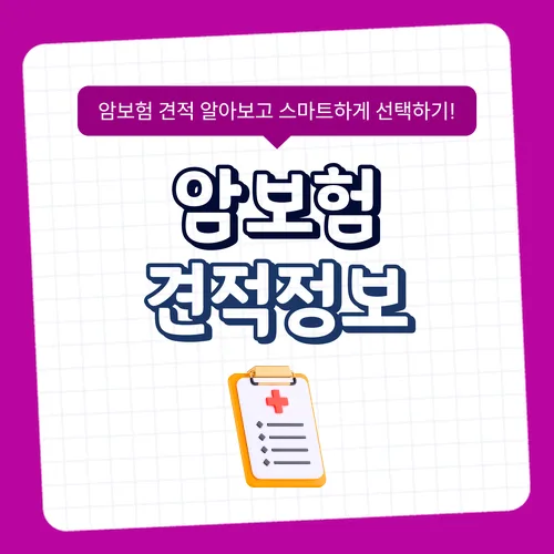비갱신 암보험, 2026년 나에게 맞는 상품 찾는 3가지 기준 2