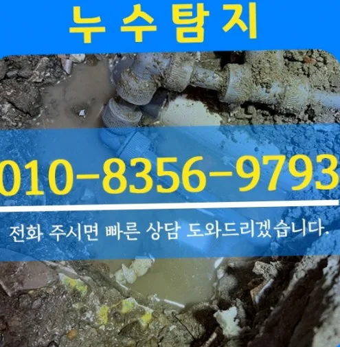 누수탐지 전문가의 초능력? 물 새는 집 해결 비결 2026 2