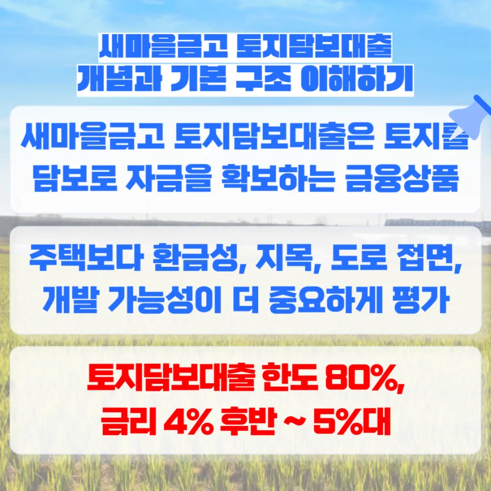 새마을금고 토지담보대출 한도·금리 2026년 완벽 분석 3