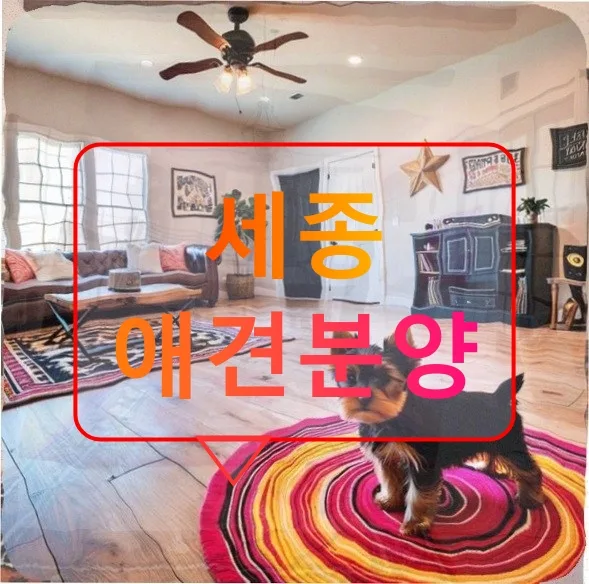 세종 애견분양 후회 막심… 혈통서 진실과 분리불안 해결법 2026
