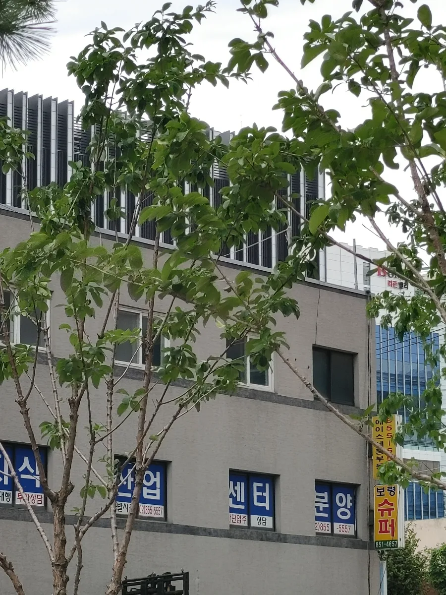애슐리 퀸즈 가산점 2026: 런치 뷔페부터 디저트까지 완벽 분석 3