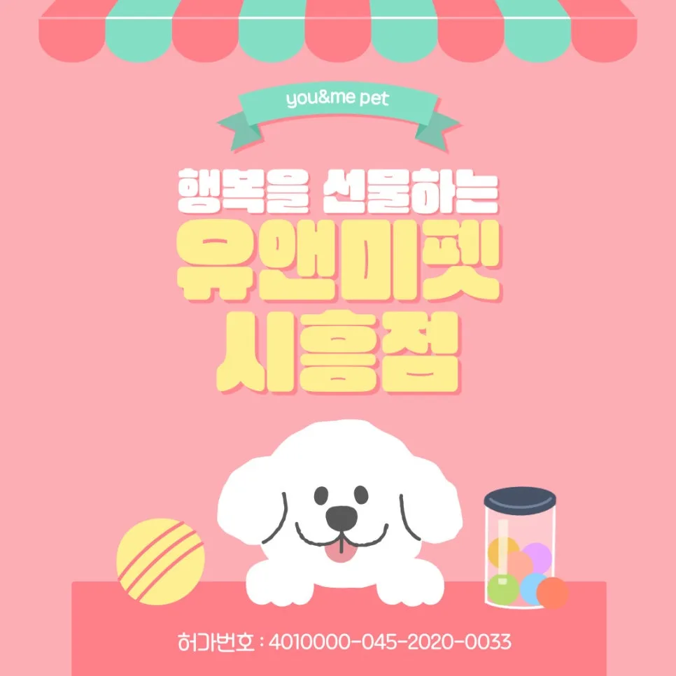 2026년 평택 러시안블루 분양, 유앤미펫 첫 반려묘 입양 후기