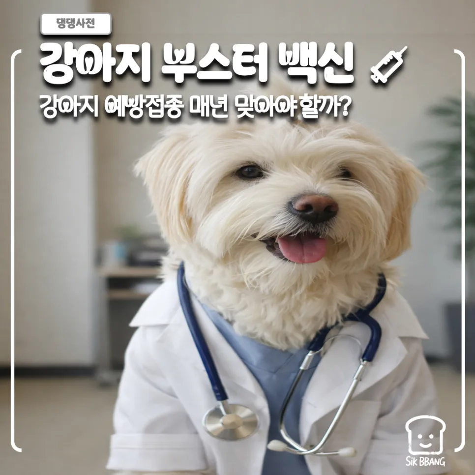 강아지 예방접종 매년 필수인가요? 2026년 부스터 백신 총정리 2
