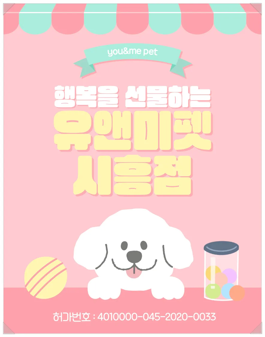 광주 말티즈 분양 2026: 유앤미펫 입양 후기 및 주의사항