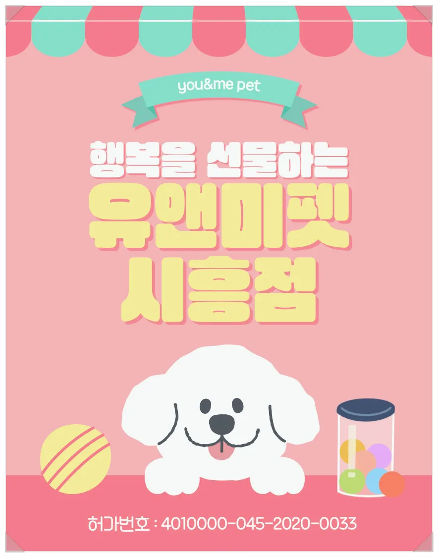 의왕 말티즈 분양 2026: 유앤미펫에서 만난 건강한 반려견 후기
