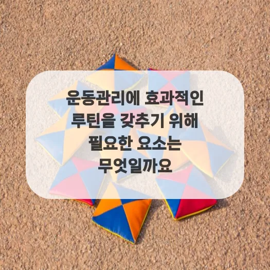 운동 루틴 2026: 건강 관리 성공하는 3가지 핵심 요소 — 건강·의학 — ruru_lala_