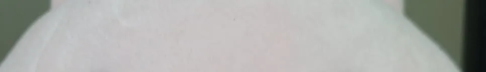 이혼전문변호사, 2026년 실패 없는 선택 가이드 2