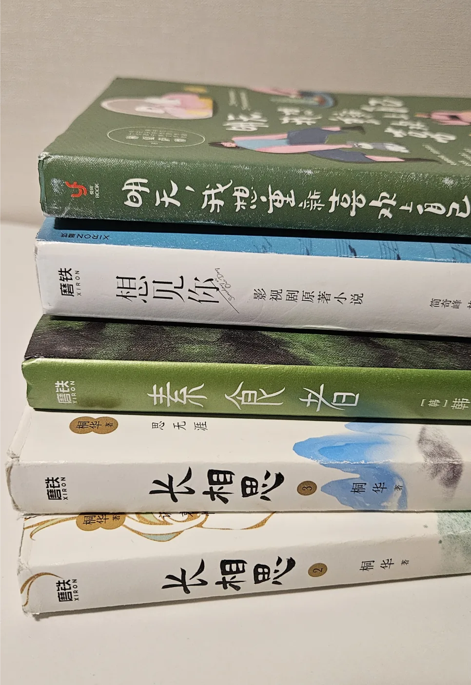 2026년 중국어 원서 독파 비법: 4권 완독 경험담