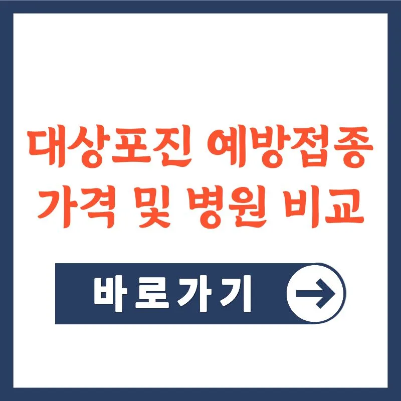 대상포진 예방접종 가격 및 무료 지원 2026년 총정리 — 건강·의학 — d_oyouknow