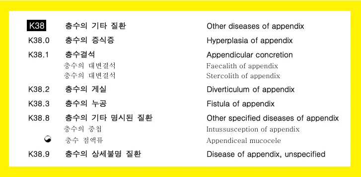LAMN 진단, 유사암 보험금 받을 수 있나요? 2026년 최신 검토 가이드 2