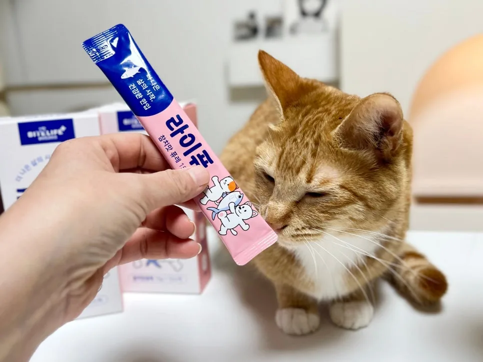 고양이 유산균 2026: 짜먹는 영양제 라이퓨, 코숏 급여 후기 2