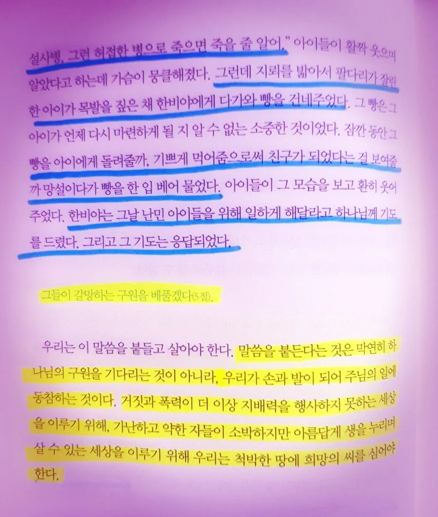 컴패션 번역메이트 2026: 봉사 참여 방법 및 후기 총정리 3