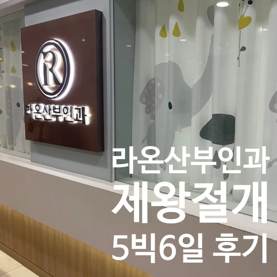대전 제왕절개 5박6일 입원 후기: 박종식 원장님 수술 정보 2026 — 건강·의학 — chain_