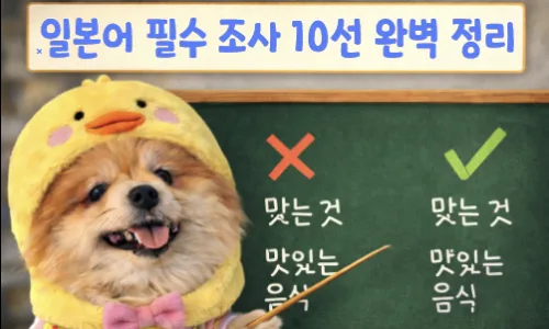 왔다리 갔다리? 일본어 잔재 표현 2026년 순화 총정리 3