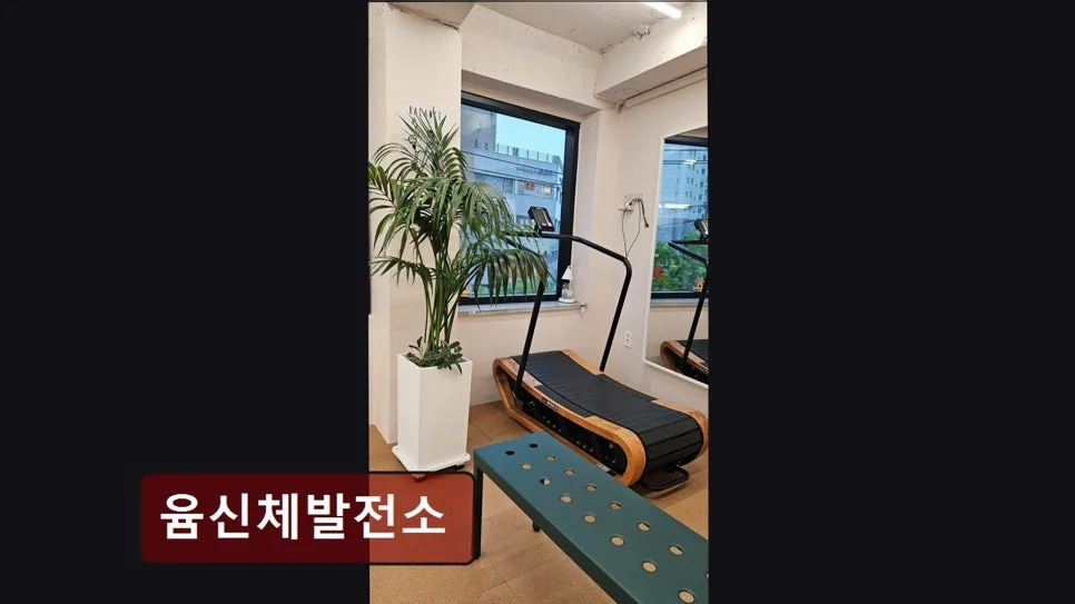 홍대 헬스장 윰신체발전소, 상수역 접근성 및 시설 정보 2026 3