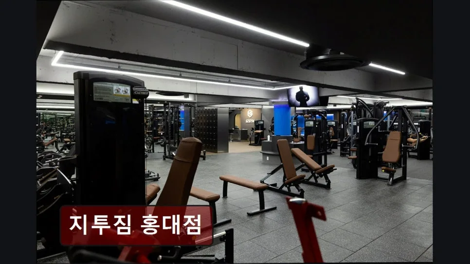 홍대 헬스장 지투짐 2026년, 체계적 수업과 최신 기구 완벽 분석 3