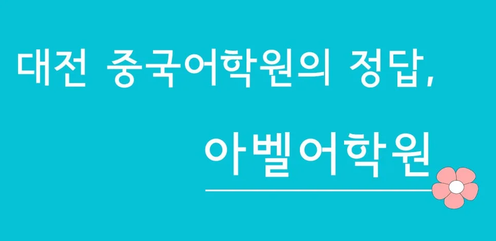 대전 중국어 1:1 과외, 2026년 실력 향상 로드맵 2